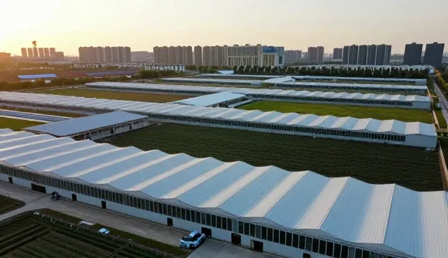 设备维护在废气治理工程中的实际应用与挑战